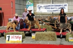 Concurso Villablino - 01